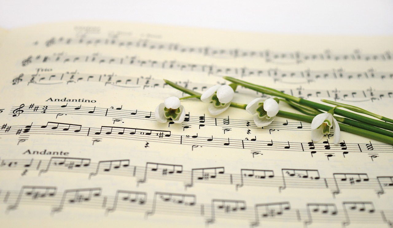 music, sheet music, snowdrop